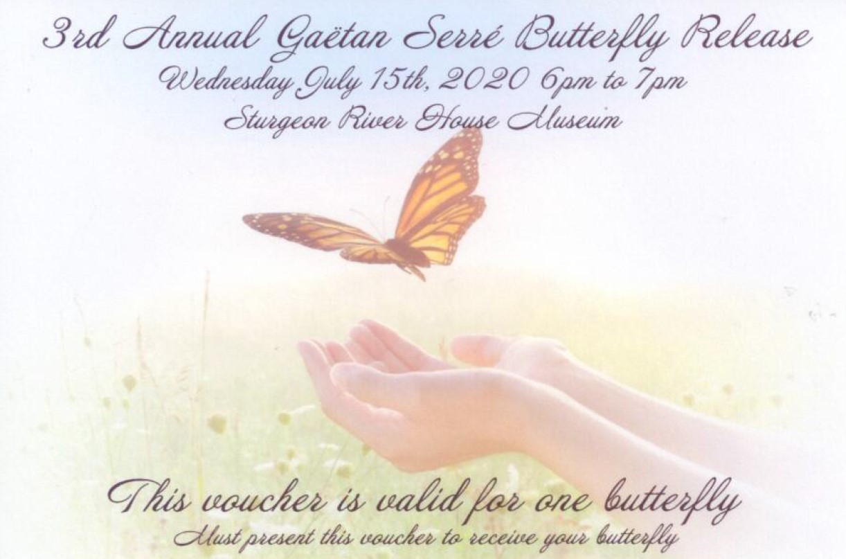 The Annual Butterfly Release